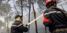 Incendi boschivi in Algeria, almeno 69 i morti