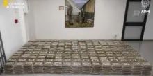 Gdf e Adm sequestrano oltre 770 kg di cocaina nel porto di Vado Ligure