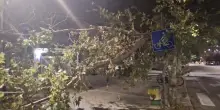 Maltempo, a Pescara raffiche di vento fino a 80 chilometri orari