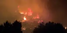 Uncem: 'le Regioni si ricordano di boschi e foreste solo con gli incendi'