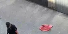 I volontari della Croce Rossa, 'sono sconvolti e molto turbati'