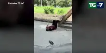 Morto a Bologna, video mostra Fakir in stato confusionale prima dell'intervento