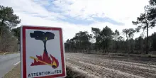 Altri evacuati per l'incendio ad Arcachon, ora sono oltre 20.000