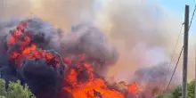In fiamme pineta sul mare in Salento, evacuati residence e lidi