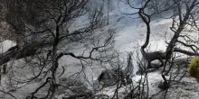 Almeno 69 i morti per gli incendi in Algeria