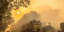 In fuga via mare dall'inferno di Cap Ferret, l'Europa brucia