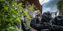 Danni ai cantieri Tav, non ci sono operai feriti