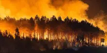 Evacuate 250mila persone per gli incendi fra Francia e Spagna
