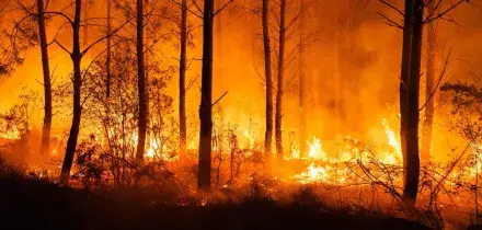 Oltre 220mila persone evacuate per gli incendi fra Francia e Spagna