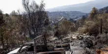 Un morto in un incendio boschivo vicino Valencia in Spagna