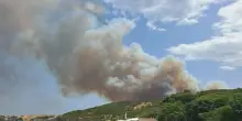 Incendi sul Gargano e in Molise: evacuate spiagge e campeggi, anziani trasferiti da una Rsa