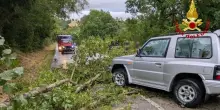 Ondata di maltempo nelle Marche, 120 interventi dei vigili del fuoco