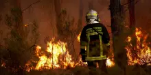 Macron nei luoghi devastati dagli incendi: 'Nelle Lande &egrave; sotto controllo, in Gironda si continua a combattere'