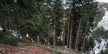 Incidenti sul lavoro, 23enne muore mentre taglia degli alberi in un bosco