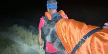 'Il cane &egrave; stanco', il Soccorso alpino lo recupera in barella