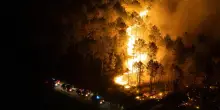 Incendio in un parco naturale in Belgio, bruciati 3.000 ettari