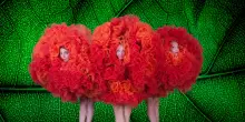 Weekend a teatro con Della Rosa, Angiolini e Fresi
