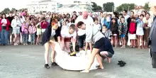 Riccione, la tartaruga Nancy torna in mare tra gli applausi di cittadini e turisti