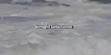 Il bagnino 'eroe' salva un ragazzo travolto dalle onde nel mare di Santa Cruz