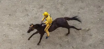 La Contrada dell'Aquila vola sul tufo e vince il Palio di Siena