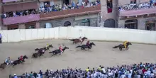 Palio Siena: estratte le tre contrade per il 16 agosto