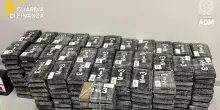 Sequestrati oltre 300 chili di cocaina nel porto di Vado Ligure