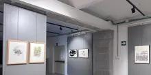 Nei disegni di Edoardo Di Muro in mostra a Trieste l'anima dell'Africa