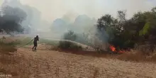 Incendio vicino ad un campeggio nel Foggiano, turisti evacuati