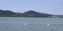 Troppi moscerini acquatici e Bobby Solo non canta a Castiglione del Lago