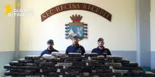 Nascosti in autocisterna 113 chili di cocaina, maxi sequestro a Napoli
