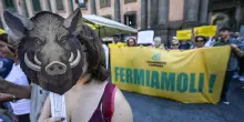 Un milione di emendamenti da M5s a Ddl Caccia, FI rilancia con 14 correzioni