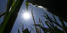Terza ondata di calore almeno fino al 20 luglio, luned&igrave; 43 gradi in Sardegna
