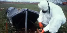 Cinquant'anni dall'incidente di Seveso, 'dal male pu&ograve; nascere il bene'