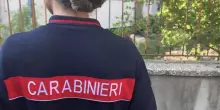 Campi Flegrei, carabinieri trovano un cane in un edificio inagibile