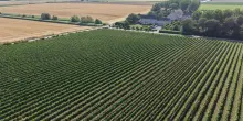 Il futuro dell'agricoltura parte dal suolo, 250 giovani scelgono vie dell'innovazione