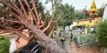 Nubifragi nella provincia di Firenze, alberi caduti e allagamenti