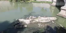 Roma, riemersi dal Tevere resti di un antico ponte romano