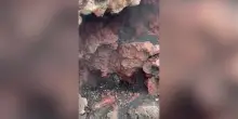 Etna in eruzione da sei giorni, anche oggi sospesi tutti i voli a Catania