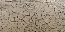 Guardian, 'almeno 35.000 morti in Europa per ondate calore di questa estate'