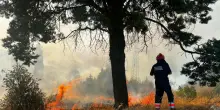 Incendio nel Frusinate, vicino al santuario della Madonna della Guardia