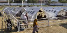 Almeno 48 i morti per il sisma in Indonesia, circa 5mila persone evacuate