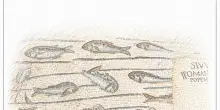 A Ravenna la mostra 'La pietra di Aurisina sulle rotte adriatiche'