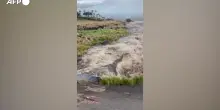 Hawaii, passaggio dell&rsquo;uragano Lala: forti piogge e allagamenti