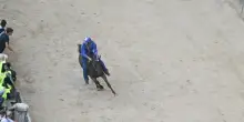 Palio Siena, vince la contrada del Nicchio
