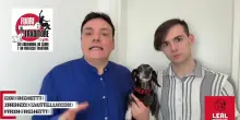 Leal e artisti contro l'abbandono degli animali: "Circa 130 mila ogni anno in Italia"