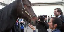Morto Varenne, leggenda del trotto