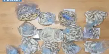 Bagaglio sospetto alla stazione Termini, dentro c'erano 7,8 chili di droga