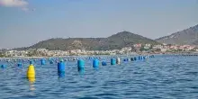 Muore a 21 anni in Croazia durante una vacanza, era su una moto d'acqua
