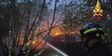 Incendio sul Carso triestino, pronti a evacuare case e strutture