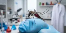 Rappuoli 'muta scenario malattie infettive con West Nile e Chikungunya in Italia'